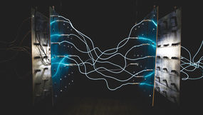 Psychic Wiring: Animal Totems