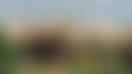 Market Report 3/11/2024