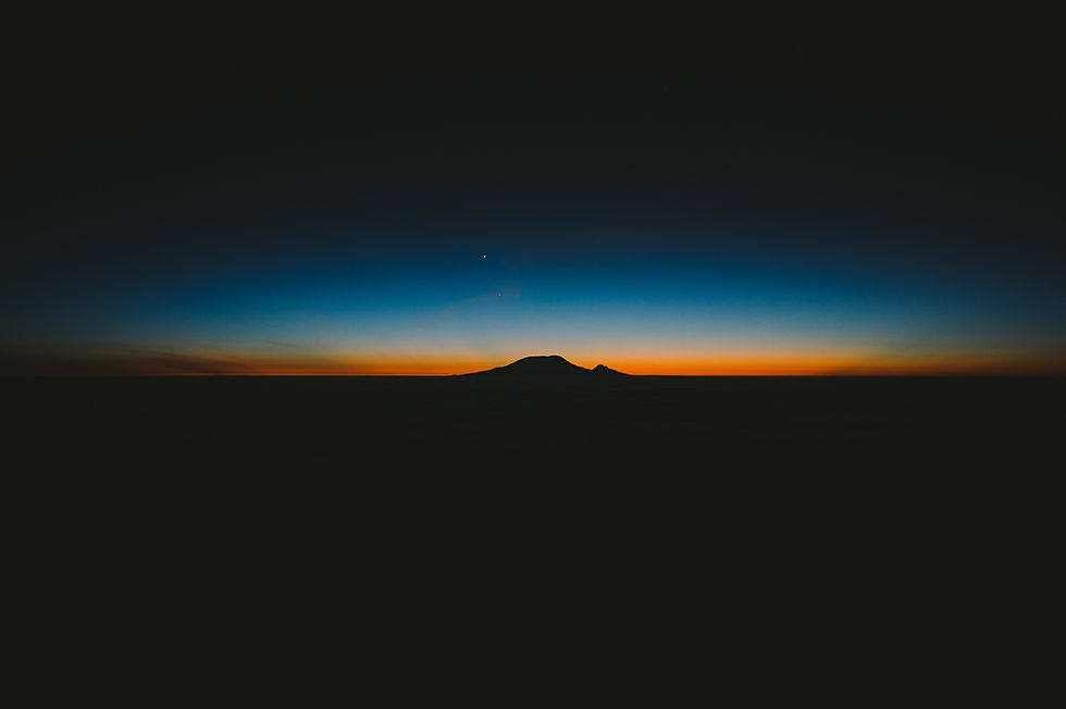 Image by Elliott Engelmann