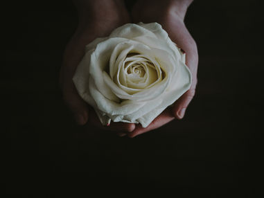 Which of my promises do you believe?