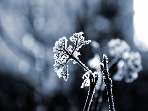 Village Water + Freezing Temps