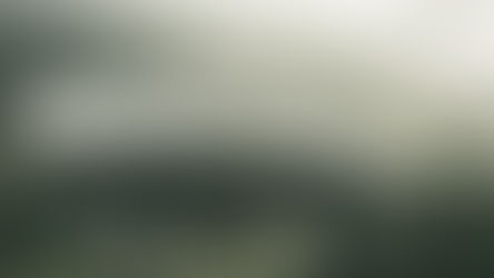 Navigating the Markets: Running Out of Steam?