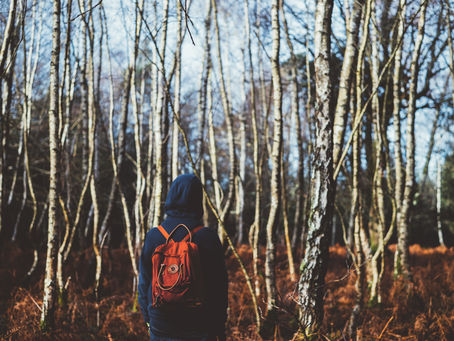 Corpse in the Copse