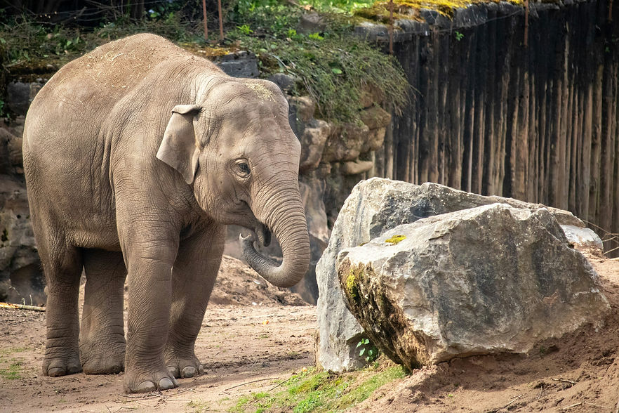 Image by Anna Roberts