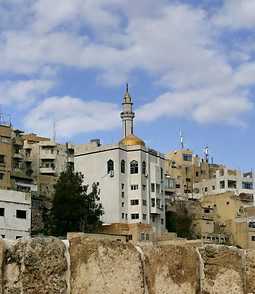 Image de zibik