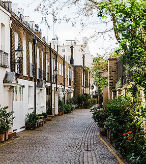 Image by Bruno Martins