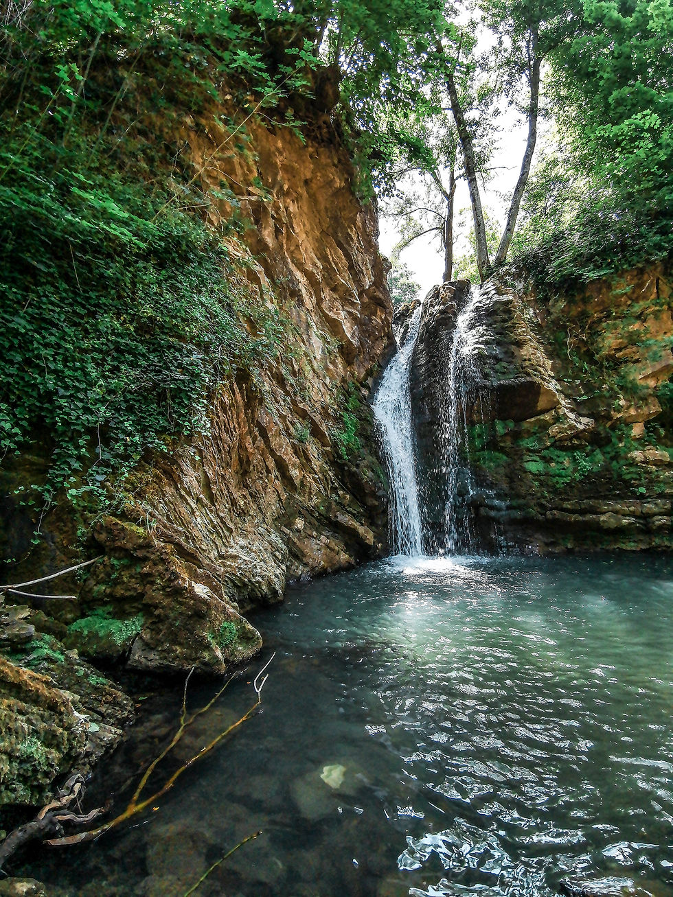 Riti Arborei in Basilicata per celebrare la natura