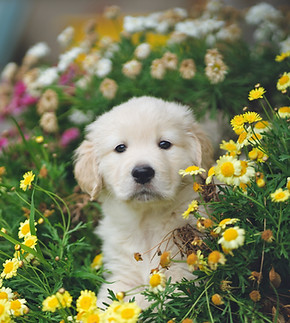 Image by Hendo Wang
