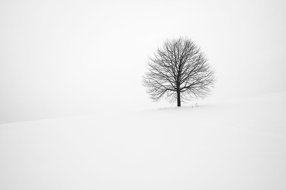 Image by Fabrice Villard