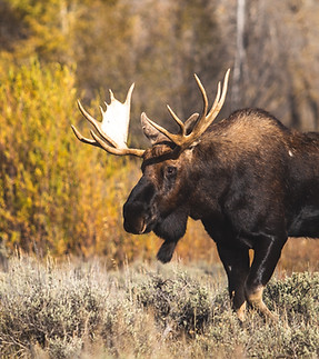 Image by Zachery Perry