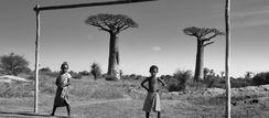 Ecofeminism in action: Marie Christina Kolo’s fight for sustainability in Madagascar