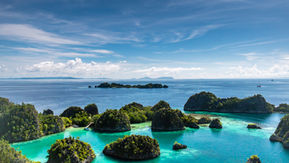 Go Green - 10 tips for eco-friendly travels ?