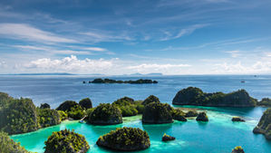 Go Green - 10 tips for eco-friendly travels ?