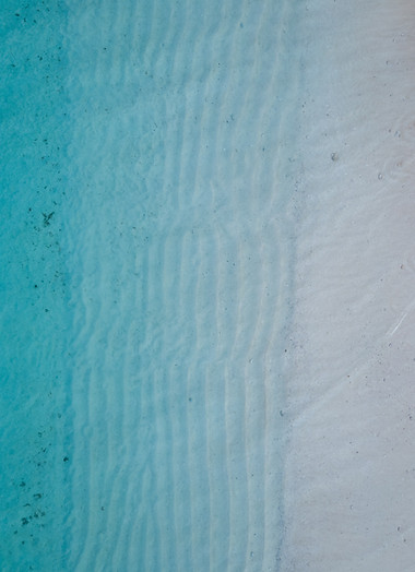 Image by Damon Hall