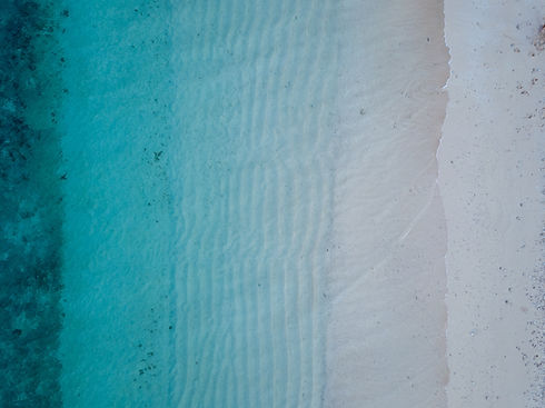 Image by Damon Hall