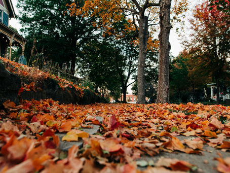 Ekim ayında önemli gezegen geçişleri yaşayacağız. Bu ay ilişkilerimizde bireysel sınırlarımıza, uyumumuza ve yaşamda mücadele ettiğimiz konulara daha fazla dikkat edeceğiz.