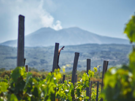 Etna Wine, Sicily