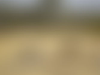 How Fly-In Safaris from Zanzibar Work (Complete 2026 Guide)