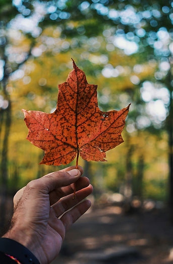image with maple leave 
