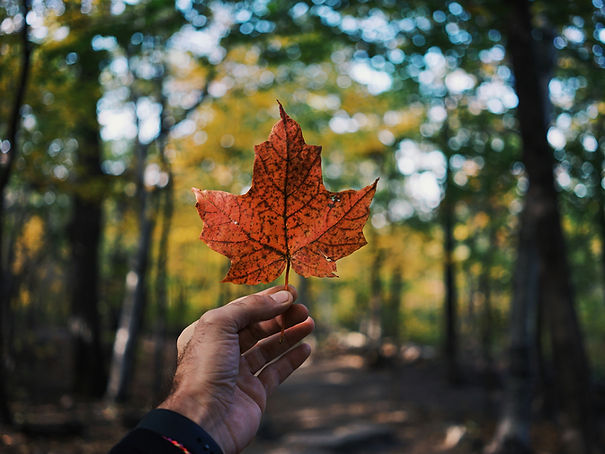 autotour au canada