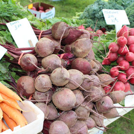 VEGETABLES THAT ARE BENEFICIAL FOR DOGS