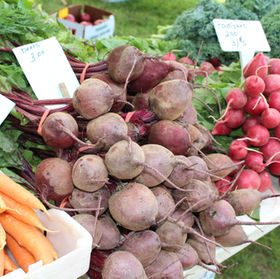 VEGETABLES THAT ARE BENEFICIAL FOR DOGS