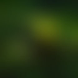 Fearless With The Flow: The Pura Vida Lifestyle of Costa Rica: Part 1