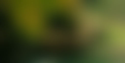Mullerthal
