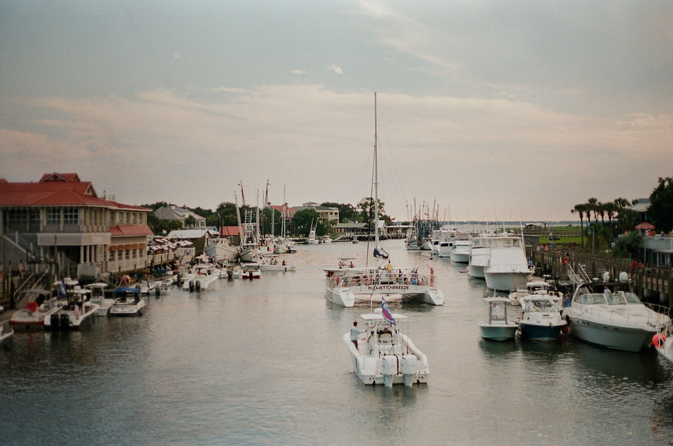 Image by Emmy Gaddy