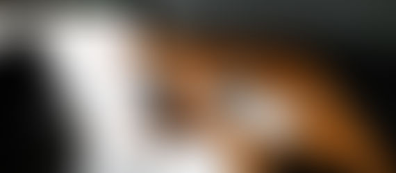 5 erros de marketing que afastam os tutores do seu perfil