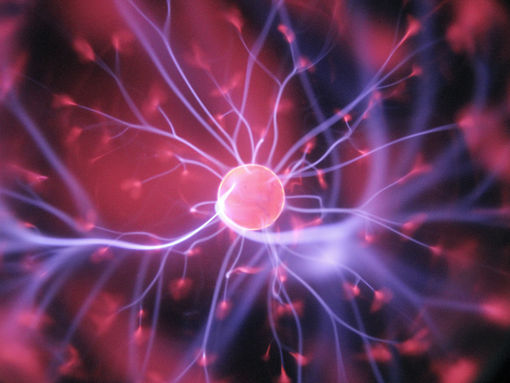 Music and the Brain