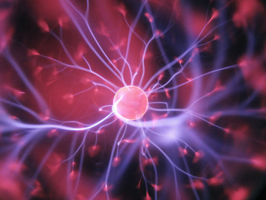 Protein discovery offers new hope for preventing stem cell division, reducing tumors