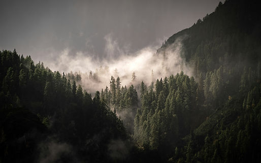 Image by Michael Fousert