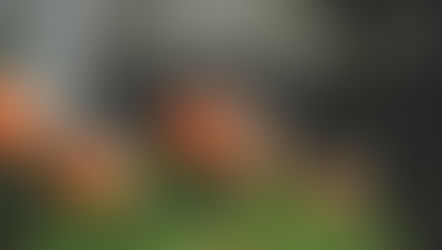 2022年 11月・12月カレンダー