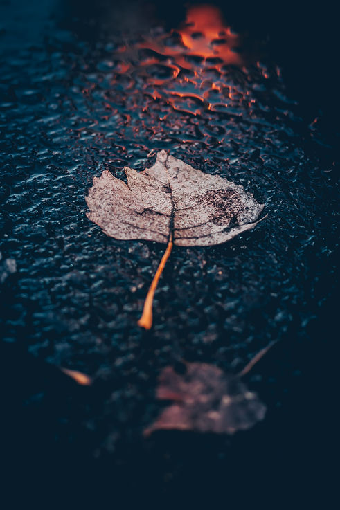 Image by John Noonan