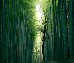 Image by Weichao Deng