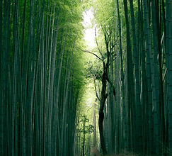 Image by Weichao Deng