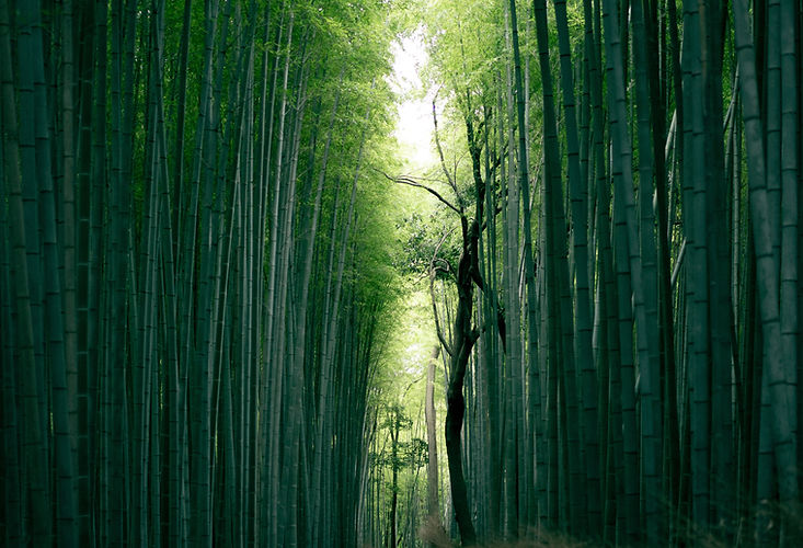 Image de Weichao Deng