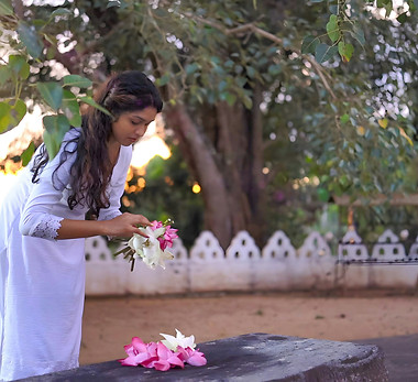 Image by sidath vimukthi