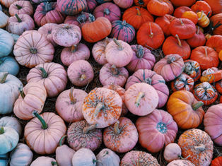 Thanksgiving hos os – en taknemmelighedsfest i november