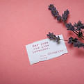 Image by Laura Chouette