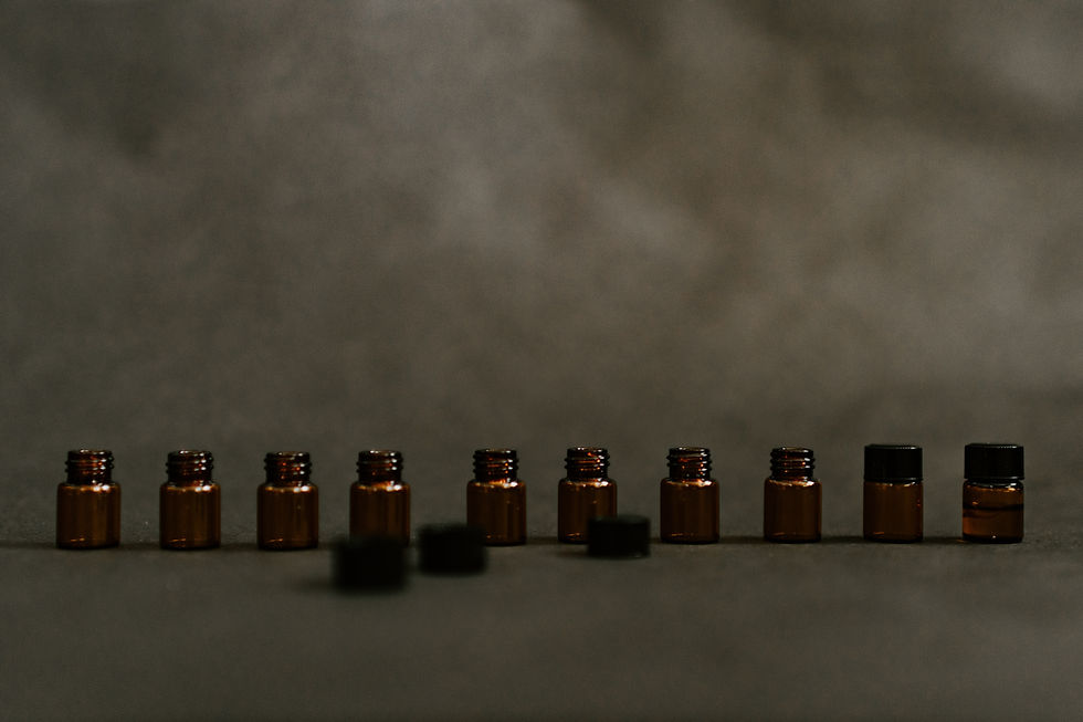 Image by Kelly Sikkema