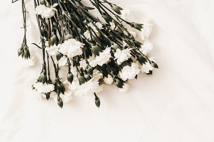 Image by Kerri Shaver
