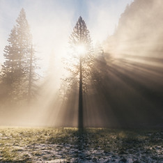 Image by Connor McSheffrey