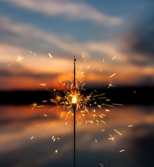 Image by Dawid Zawiła