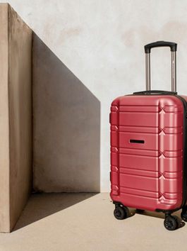 The Suitcase