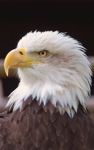 Image by James Newcombe