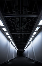 Image by William Daigneault