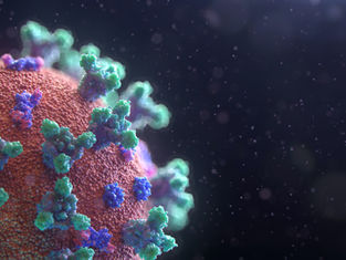 Treatment to improve immune function in older adults