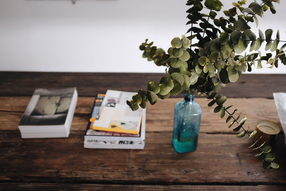 Image by Sarah Rudolph